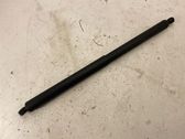 Tailgate/trunk strut/damper