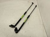 Tailgate/trunk strut/damper