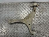 Front lower control arm/wishbone