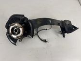 Rear wheel hub
