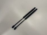 Front bonnet/hood damper/strut