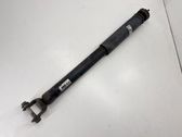 Stoßdämpfer hinten