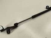 Front bonnet/hood damper/strut