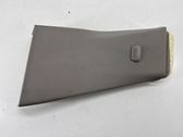 (B) pillar trim (bottom)
