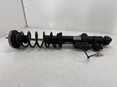 Rear shock absorber with coil spring