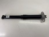 Rear shock absorber/damper