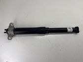 Rear shock absorber/damper