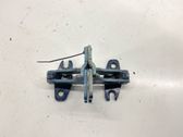 Front door hinge set