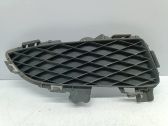 Grille inférieure de pare-chocs avant