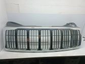 Front bumper upper radiator grill