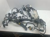 Faisceau de câblage pour moteur