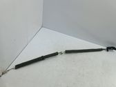 Línea de cable puerta delantera