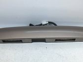 Trunk door license plate light bar