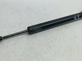 Rear door check strap stopper