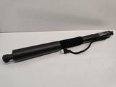 Tailgate/trunk strut/damper