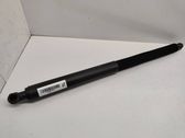 Tailgate/trunk strut/damper