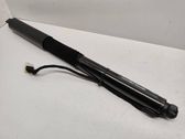 Tailgate/trunk strut/damper