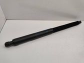 Tailgate/trunk strut/damper