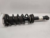 Rear shock absorber with coil spring