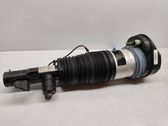Front shock absorber/damper