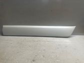 Rear door trim (molding)