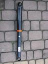 Rear shock absorber/damper