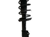 Amortiguador delantero con muelle espiral