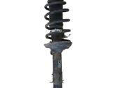Amortiguador delantero con muelle espiral