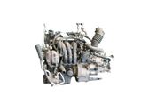 Compresor (bomba) del aire acondicionado (A/C))