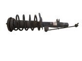 Amortiguador delantero con muelle espiral