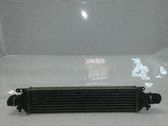 Radiador intercooler