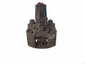 Bremssattel hinten