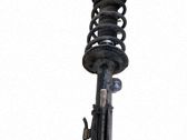 Amortiguador delantero con muelle espiral