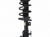 Amortiguador delantero con muelle espiral