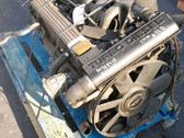 Compresor (bomba) del aire acondicionado (A/C))