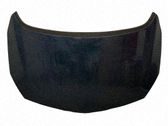 Motorhaube