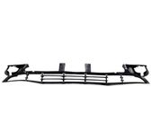 Front bumper lower grill