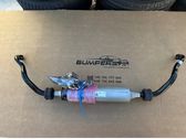Active stabilizer control unit