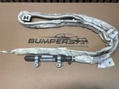 Roof airbag