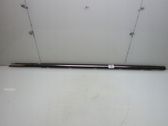 Front door trim (molding)