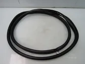 Rear door rubber seal (on body)