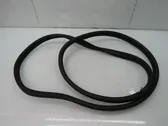 Rear door rubber seal (on body)