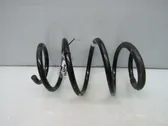 Front coil spring