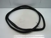 Rear door rubber seal (on body)