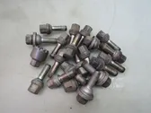 Nuts/bolts