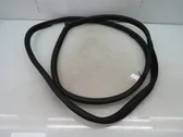 Front door rubber seal