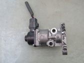 Termostato EGR