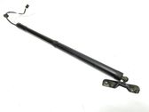 Tailgate/trunk strut/damper