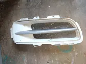 Front bumper lower grill