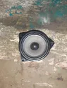 Front door high frequency speaker